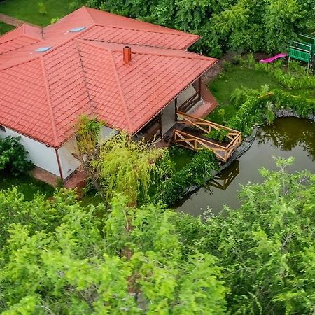 Casa Arcadia 1 Piscina,Jacuzzi, Sauna Buzau Exterior photo